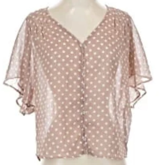 Free Bird Sheer Polka Dot Blouse Buttons Taupe White Office Preppy Top Large Tan - Picture 2 of 9